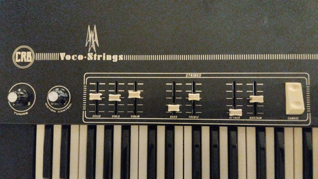 String-Sektion